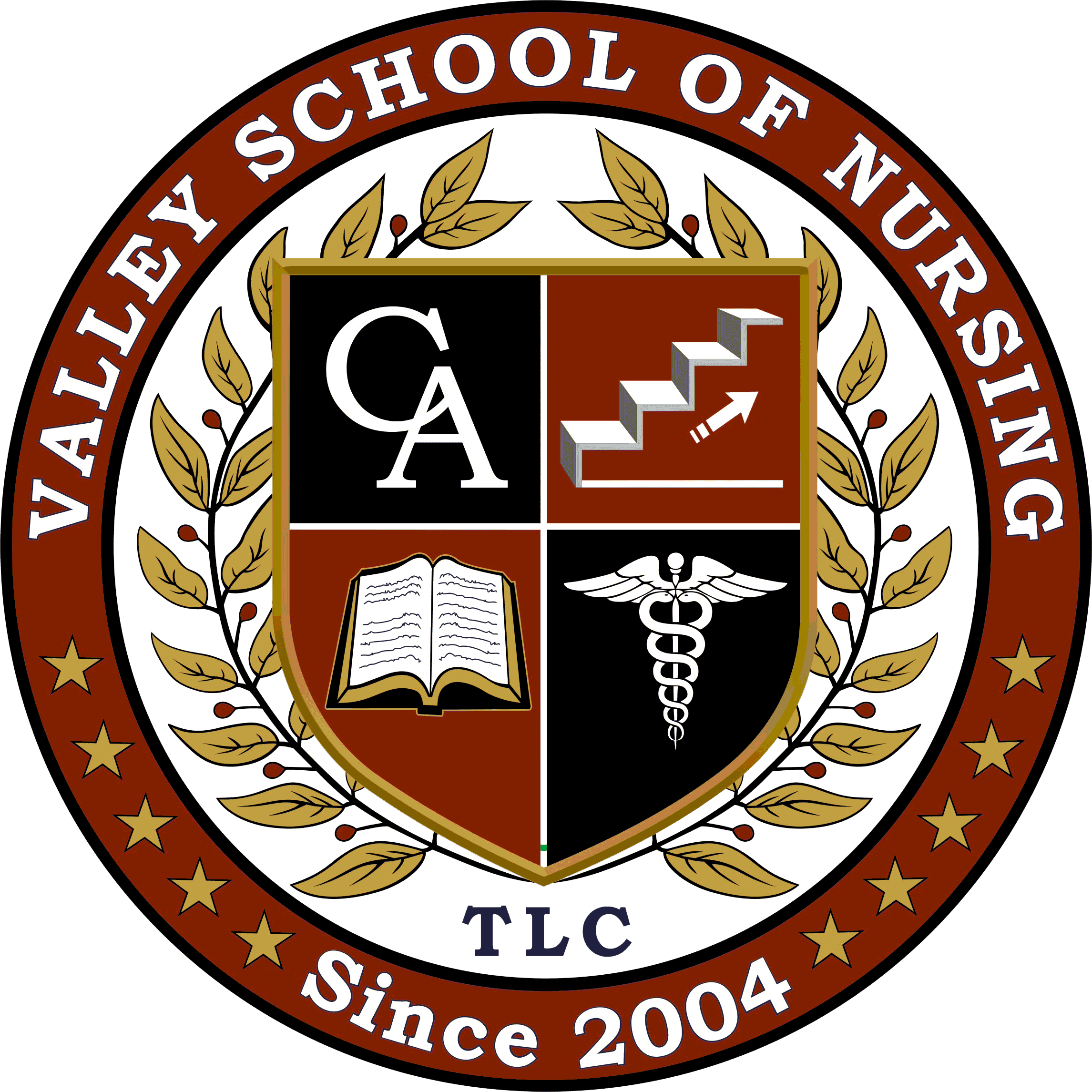 Valley School of Nursing Logo